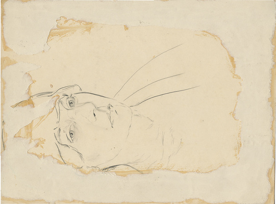 Фогт Нина Эрнестовна. Автопортрет 